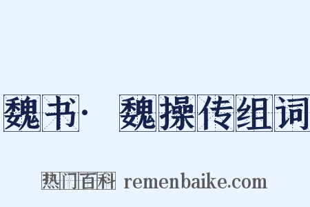魏书·魏操传组词是什么意思的图片